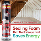 Spray Foam Insulation Kit (30 oz./850gr)